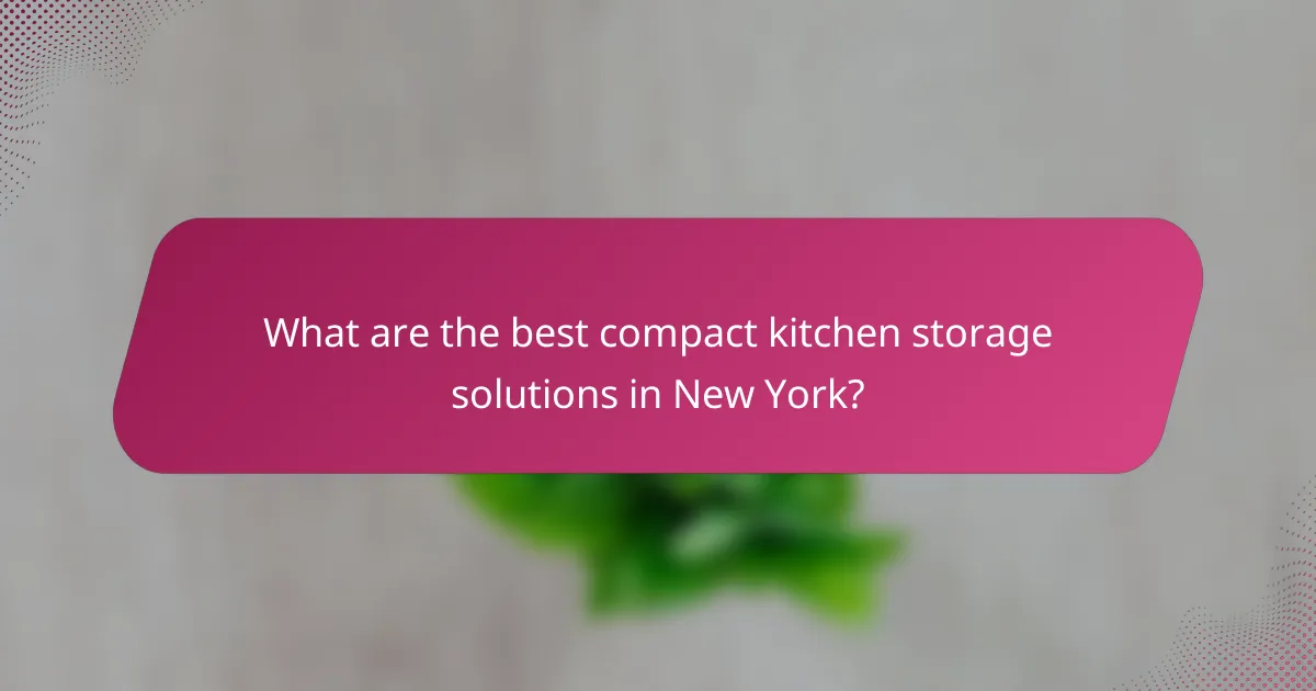What are the best compact kitchen storage solutions in New York?
