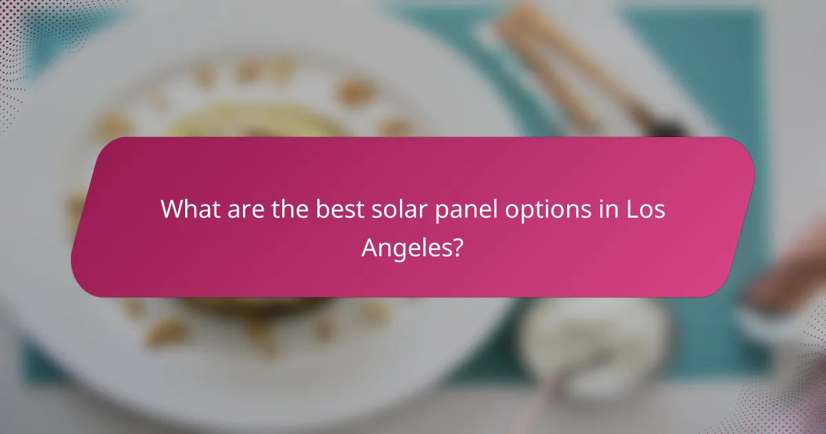 What are the best solar panel options in Los Angeles?